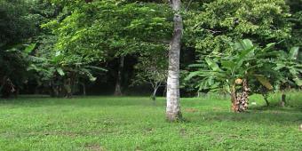 the best land in center of Santa Santa Teresa-mal Pais